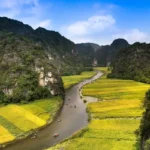 Rizières de Tam Coc avant la récolte, Ninh Binh