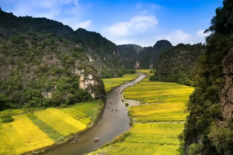 Rizières de Tam Coc avant la récolte, Ninh Binh