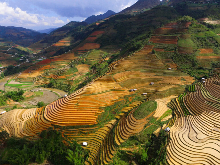 Rizières en terrasse du Nord Vietnam